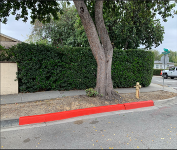 After picture of a freshly painted red curb